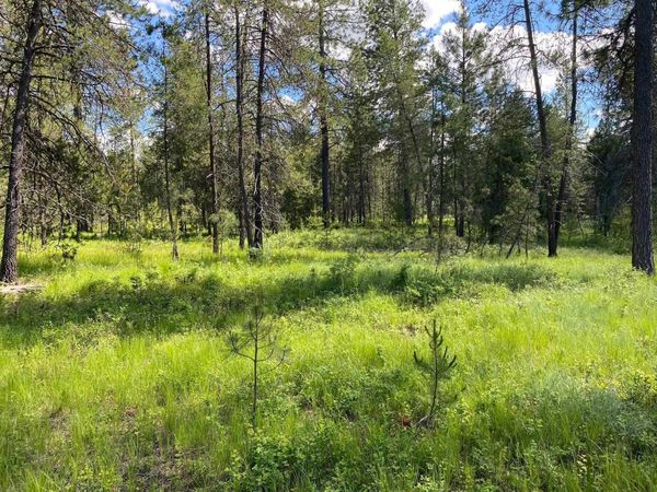 xx W Montgomery Rd, Deer Park, WA 99006