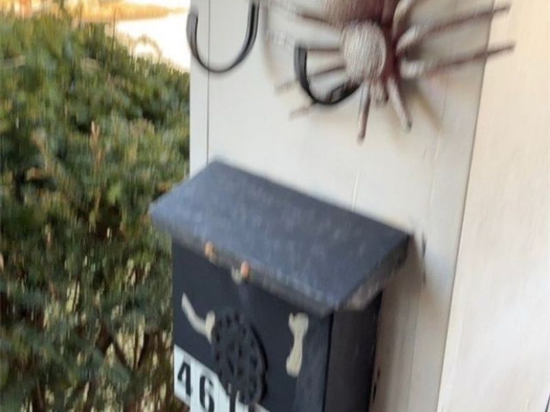 4615 Henritze Avenue, Cleveland, OH 44109 Photo 8