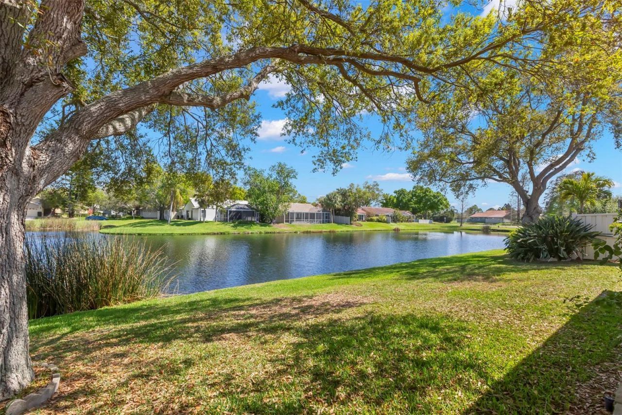 523 Padua Circle Ne, Saint Petersburg, FL 33703 Photo