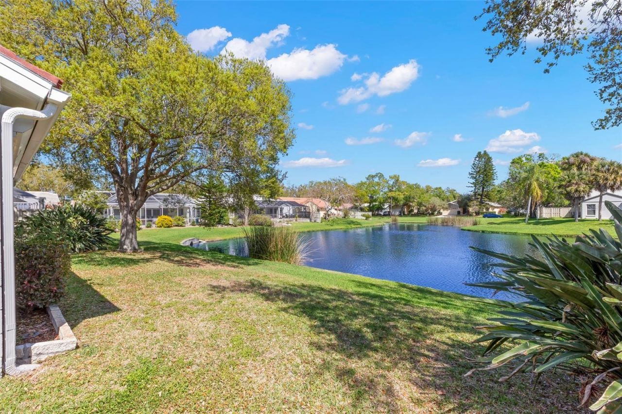 523 Padua Circle Ne, Saint Petersburg, FL 33703 Photo