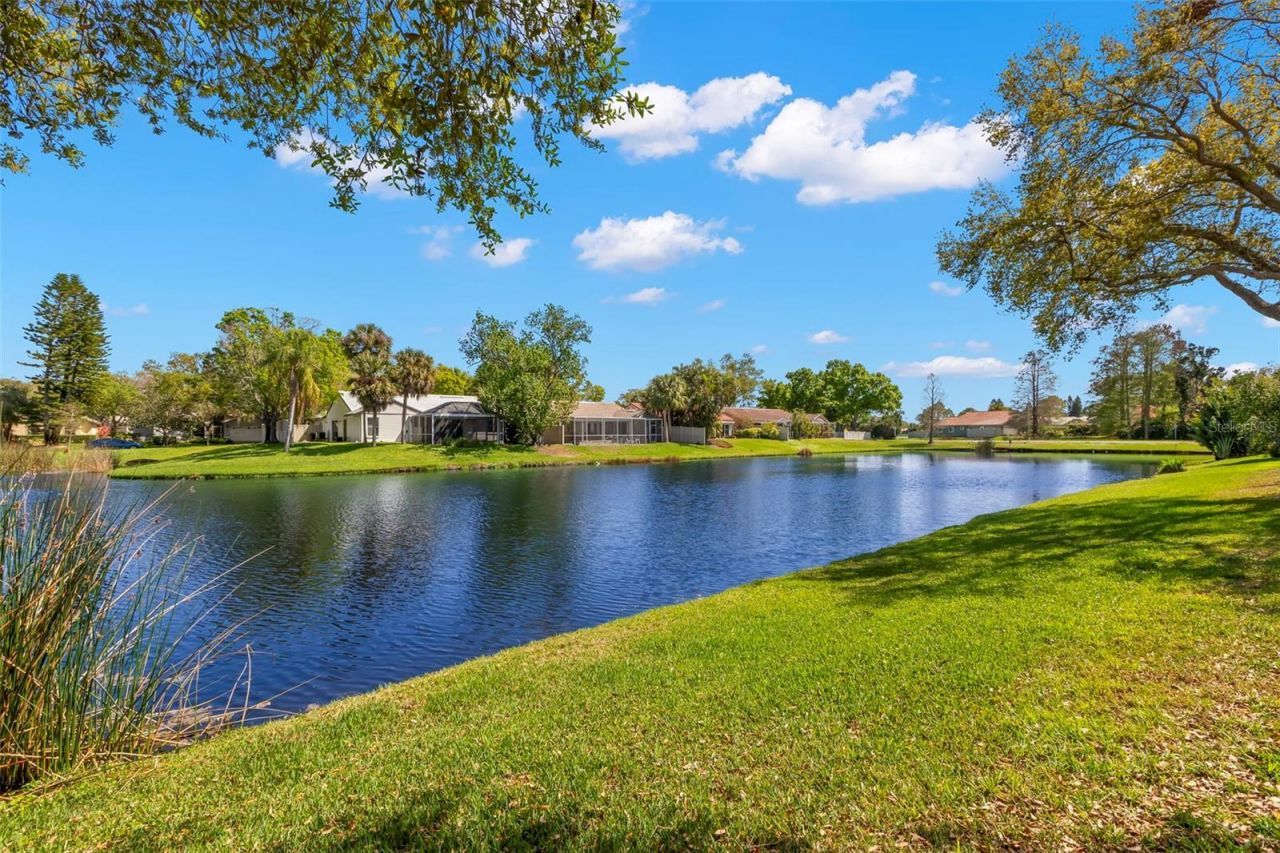 523 Padua Circle Ne, Saint Petersburg, FL 33703 Photo