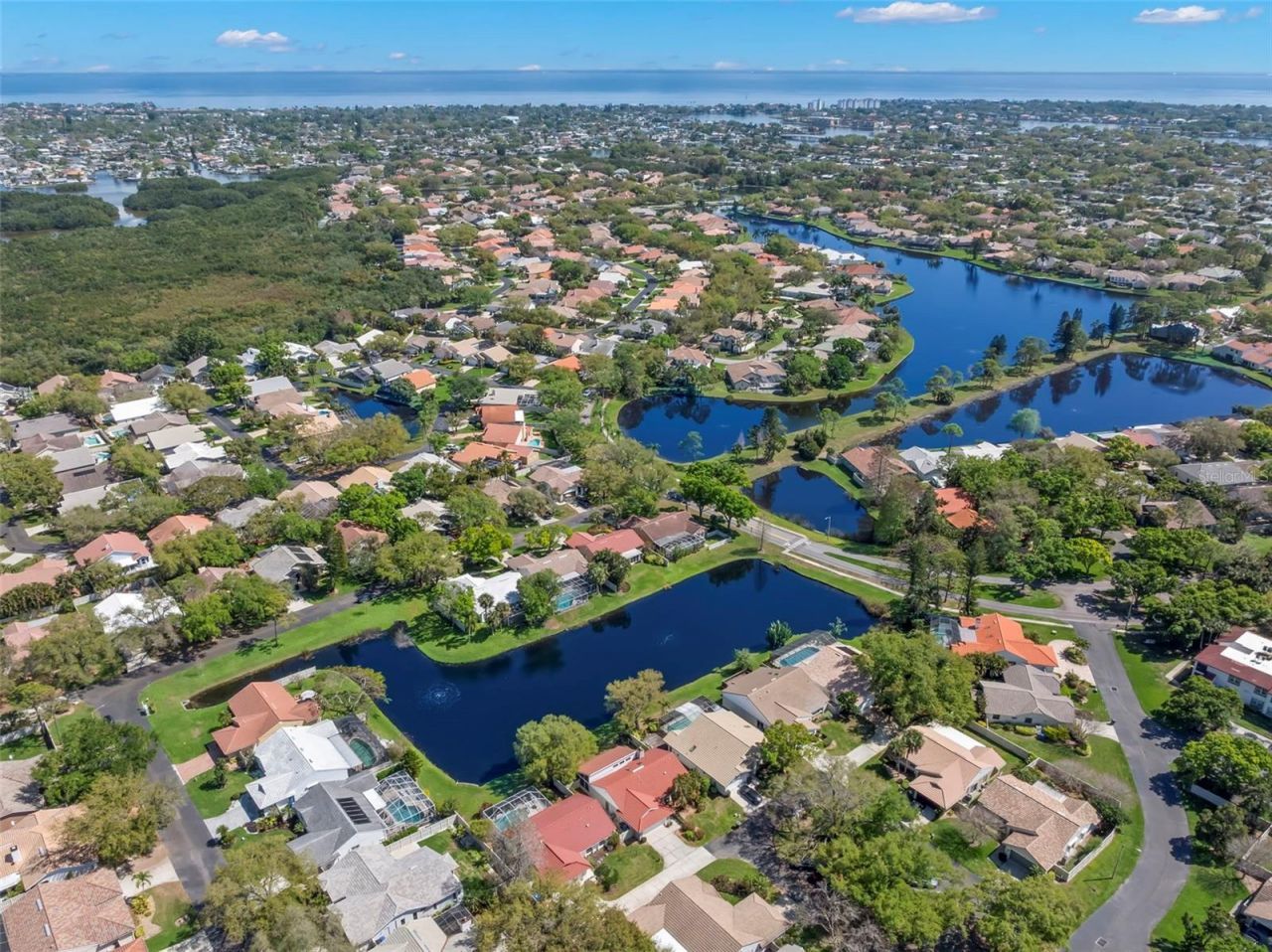 523 Padua Circle Ne, Saint Petersburg, FL 33703 Photo