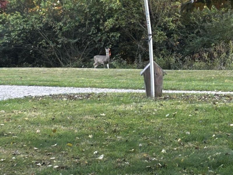 9923 E Bend Road, Burlington, KY 41005 Photo 41