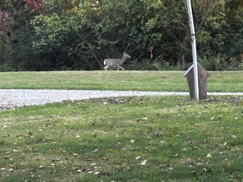 9923 E Bend Road, Burlington, KY 41005 Photo 42