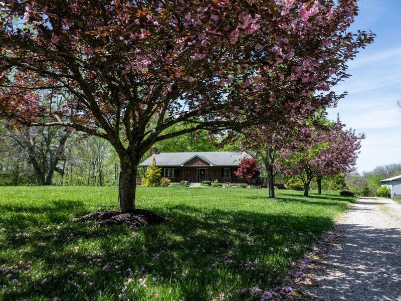 9917 E Bend Road, Burlington, KY 41005 Photo 1