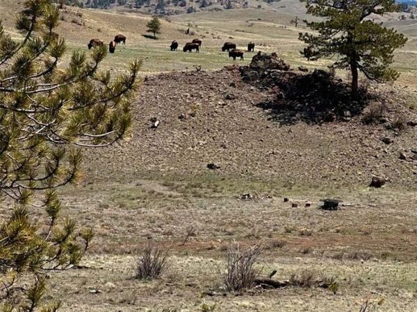 391 Gulch Road , Hartsel, CO 80449