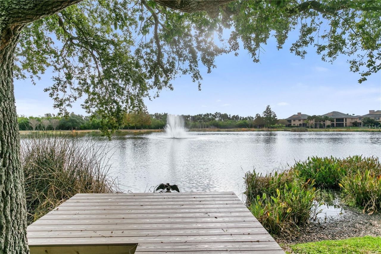 440 Gilman Place N, Saint Petersburg, FL 33716 Photo