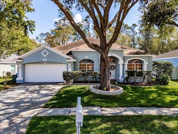 3732 HOLLOW WOOD DRIVE, VALRICO, FL 33596