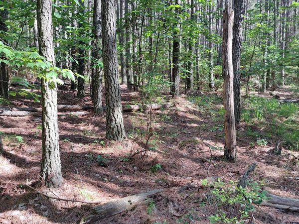 152 Sunset View Lane , Rockwood, TN 37854