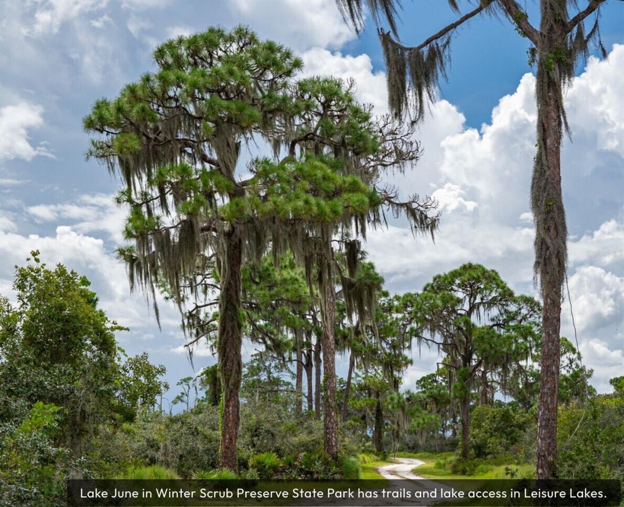 3218 Gossamer Avenue, Lake Placid, FL 33852 Photo