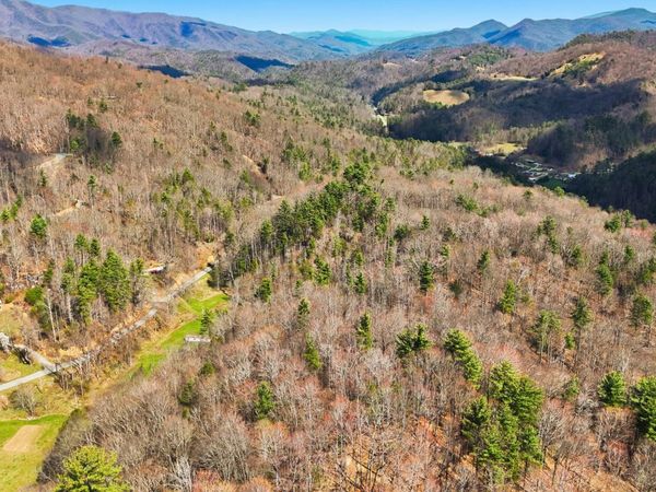 Tbd Stockton Road, Flag Pond, TN 37657