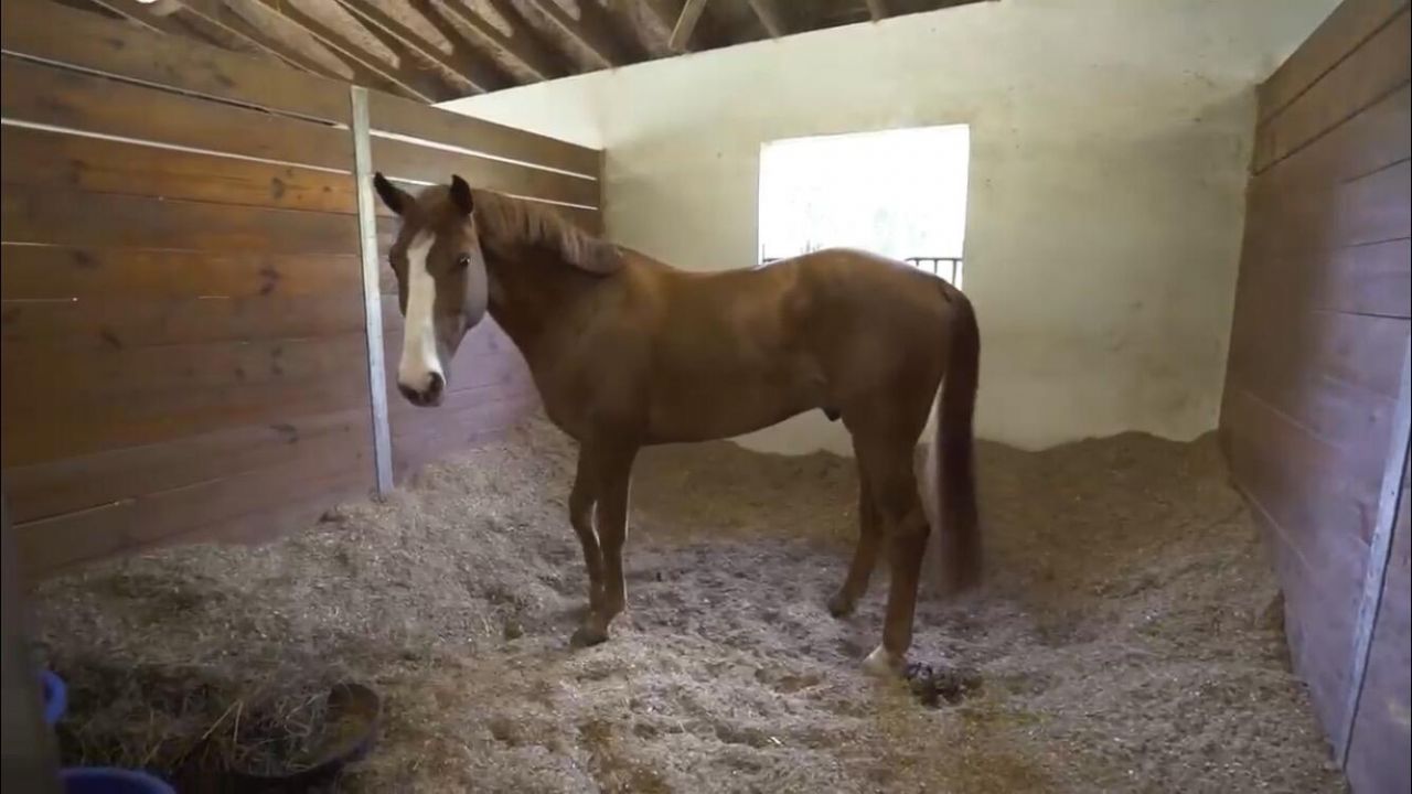 13346 Casey Road, Loxahatchee Groves, FL 33470 Photo