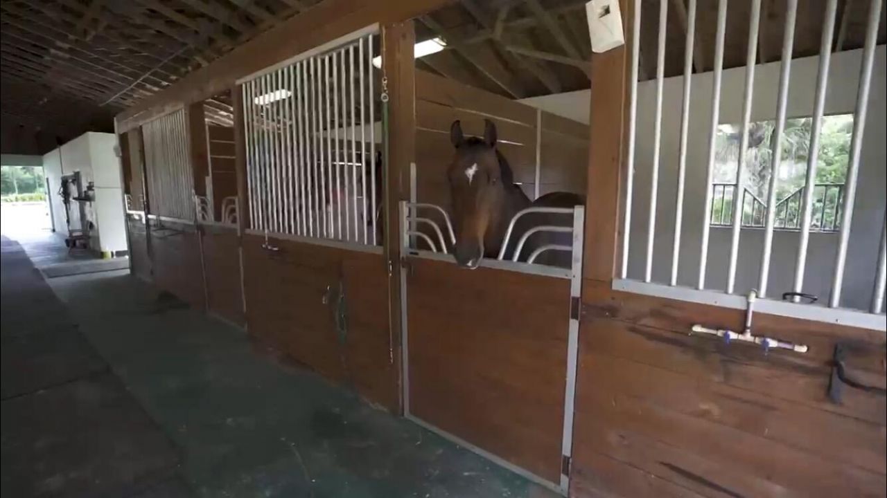 13346 Casey Road, Loxahatchee Groves, FL 33470 Photo