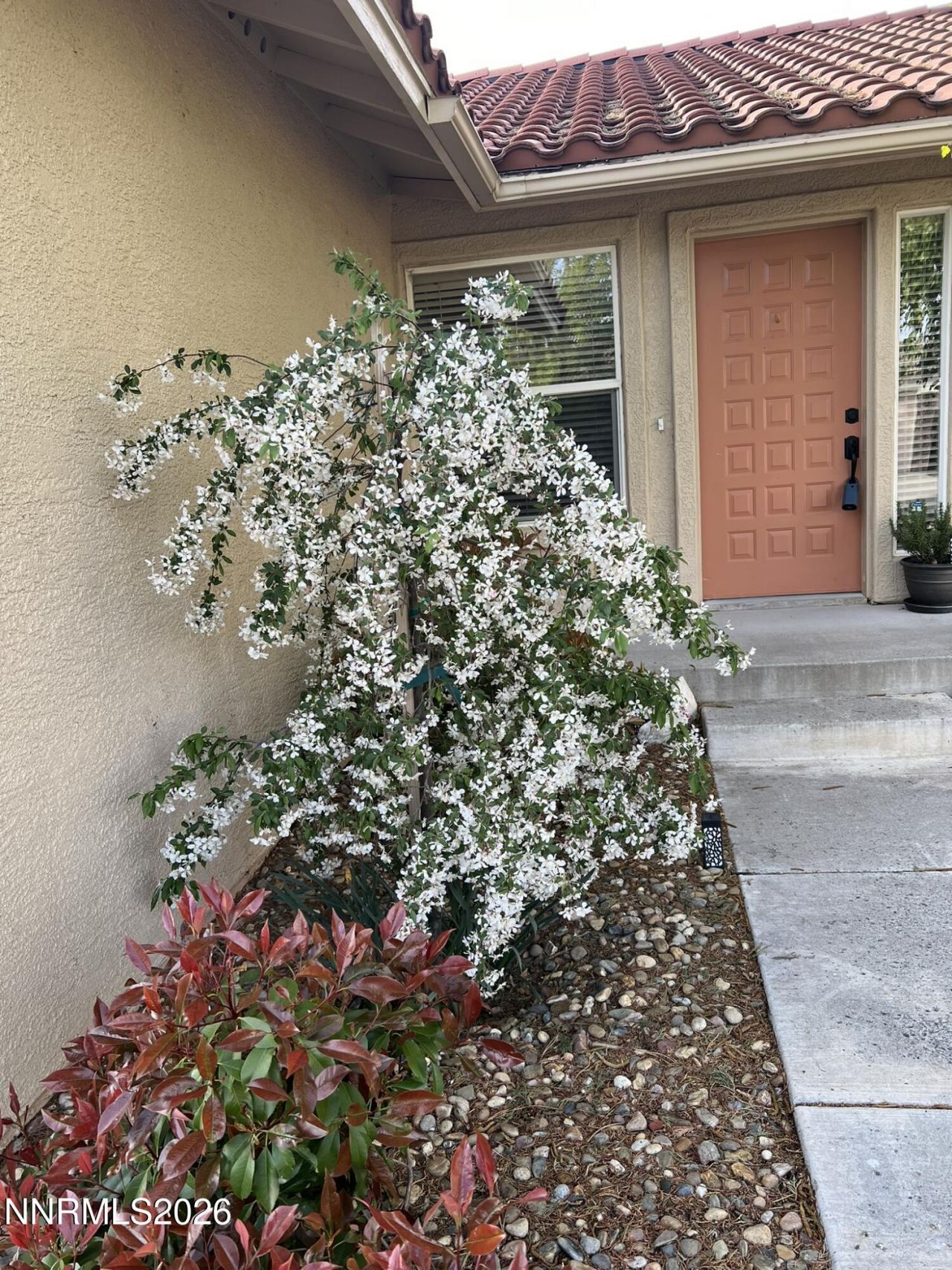 207 La Costa Avenue, Dayton, NV 89403 Photo