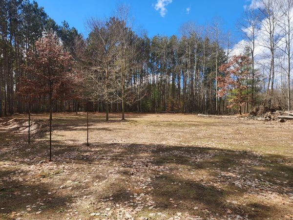 8 Mile Road, Stanwood, MI 49346