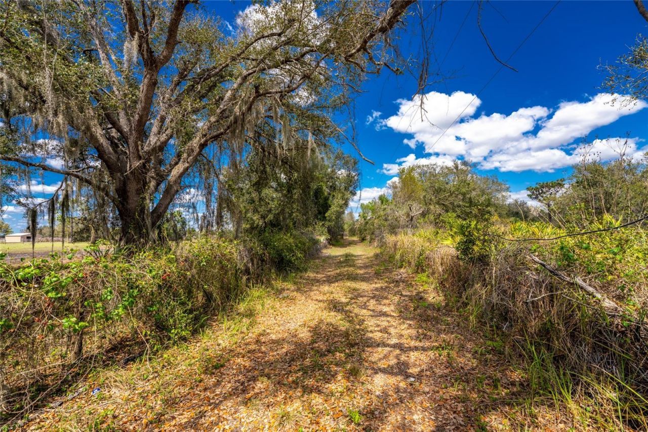 31840 Washington Loop Road, Punta Gorda, FL 33982 Photo