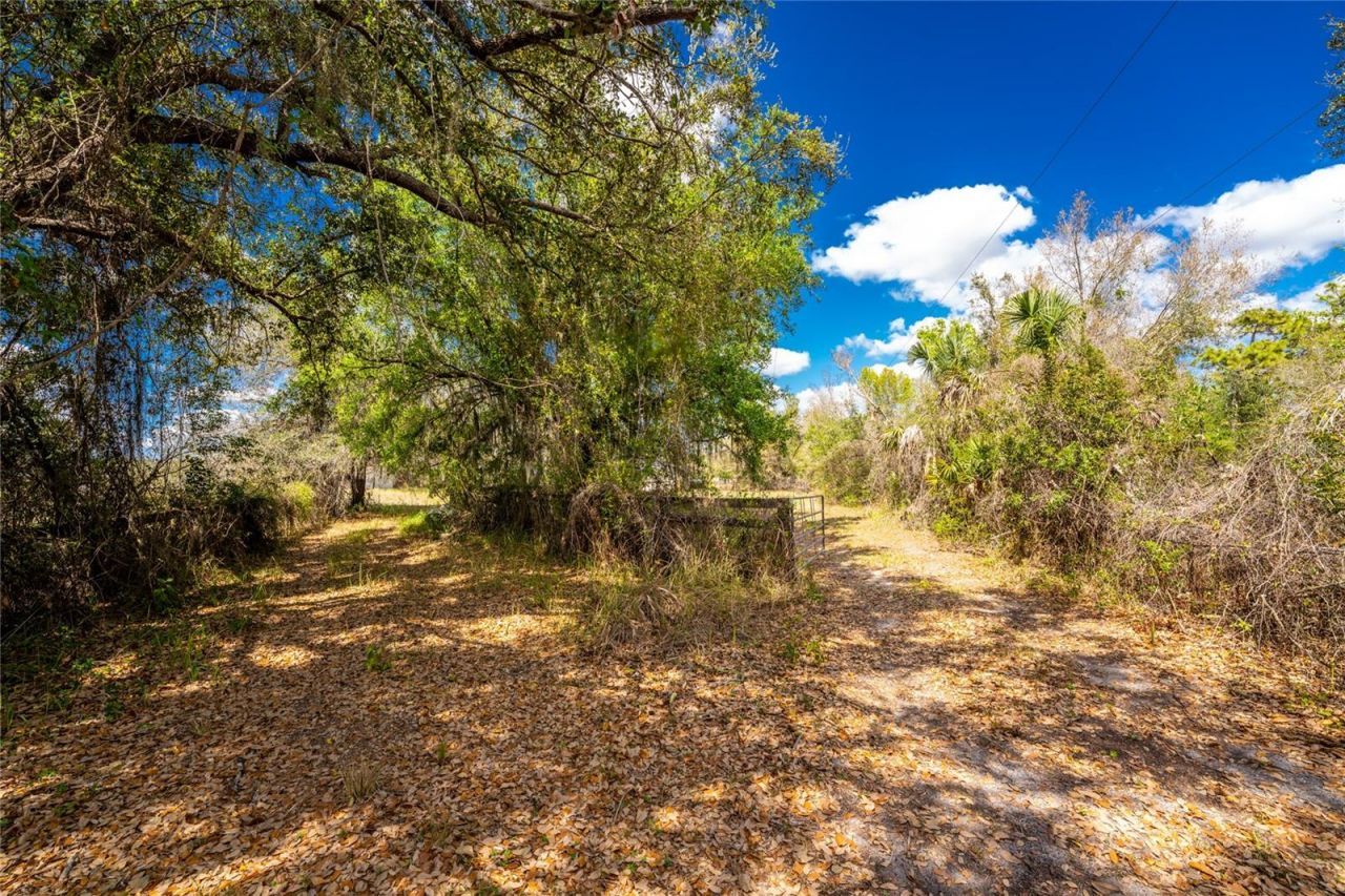 31840 Washington Loop Road, Punta Gorda, FL 33982 Photo