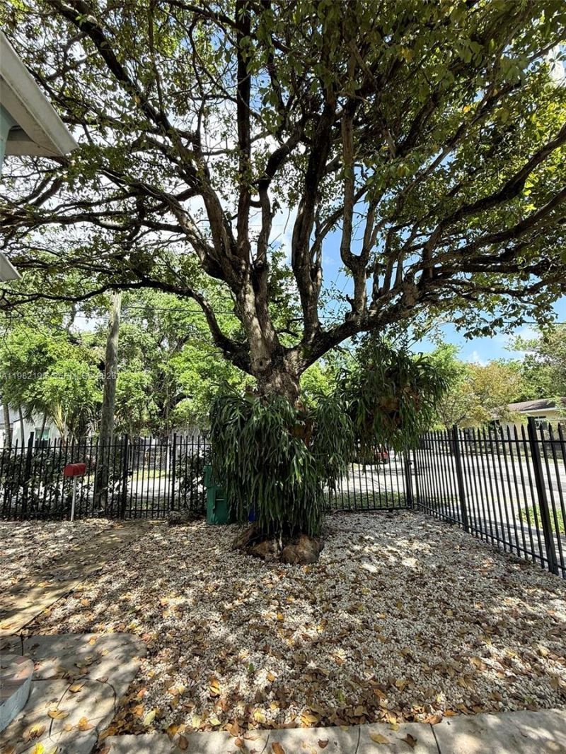 294 NE 57th St, Miami, FL 33137 Photo
