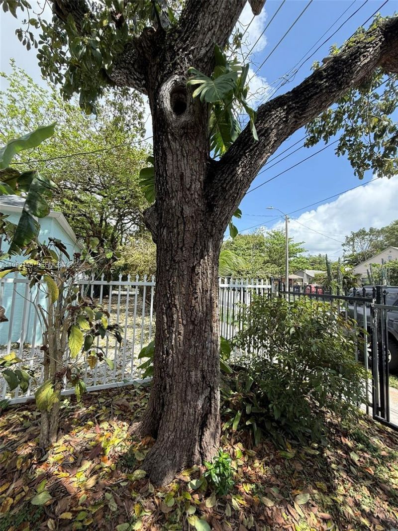 294 NE 57th St, Miami, FL 33137 Photo