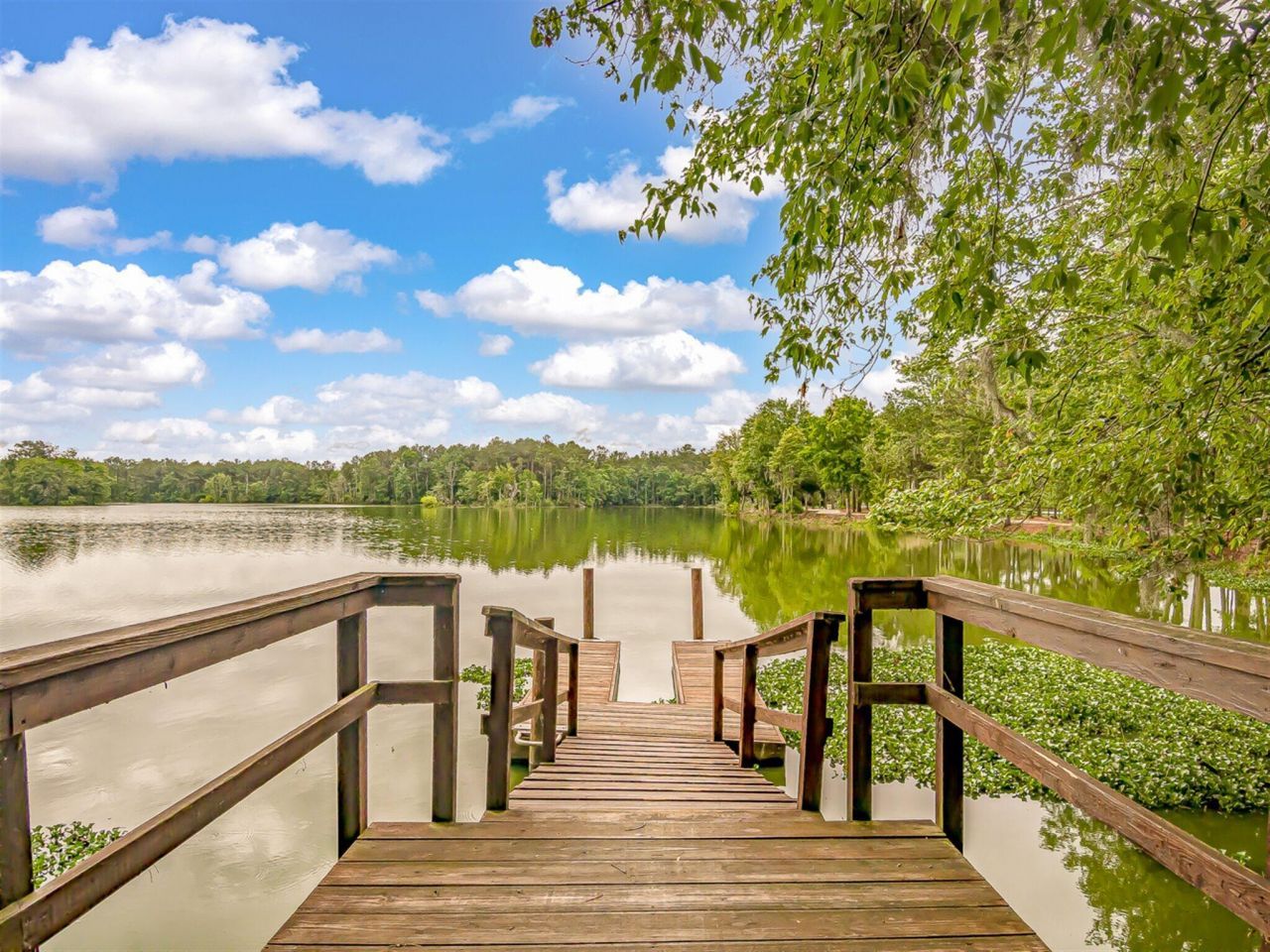 226 Garden Lily Lane Photo 53