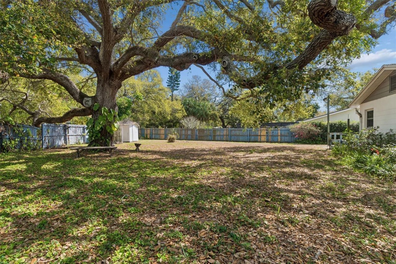 2027 Park Street N, Saint Petersburg, FL 33710 Photo