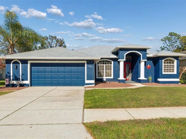 11017 AUDIE BROOK DRIVE , SPRING HILL, FL 34608