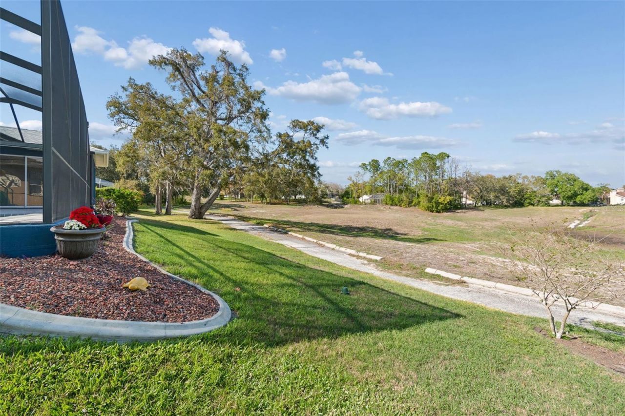 11017 Audie Brook Drive, Spring Hill, FL 34608 Photo