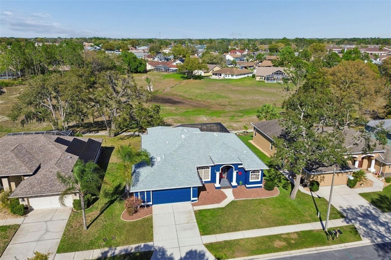 11017 Audie Brook Drive, Spring Hill, FL 34608 Photo