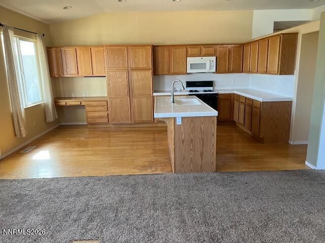 4447 White Fish Drive, Reno, NV 89511 Photo