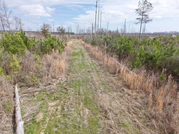 002 Reed Rd., Starkville, MS 39759