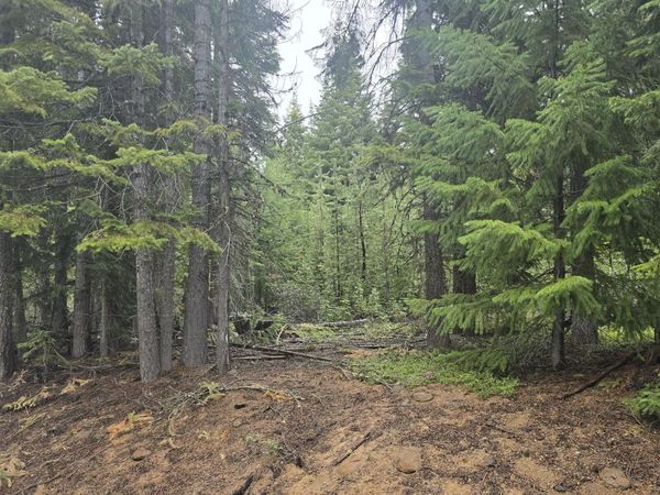 4 Royce Pine Road, Crescent Lake, OR 97733