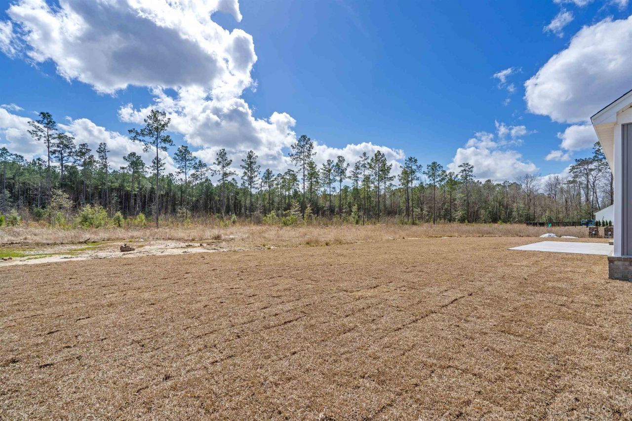 6933 Pauley Swamp Rd. Photo 32