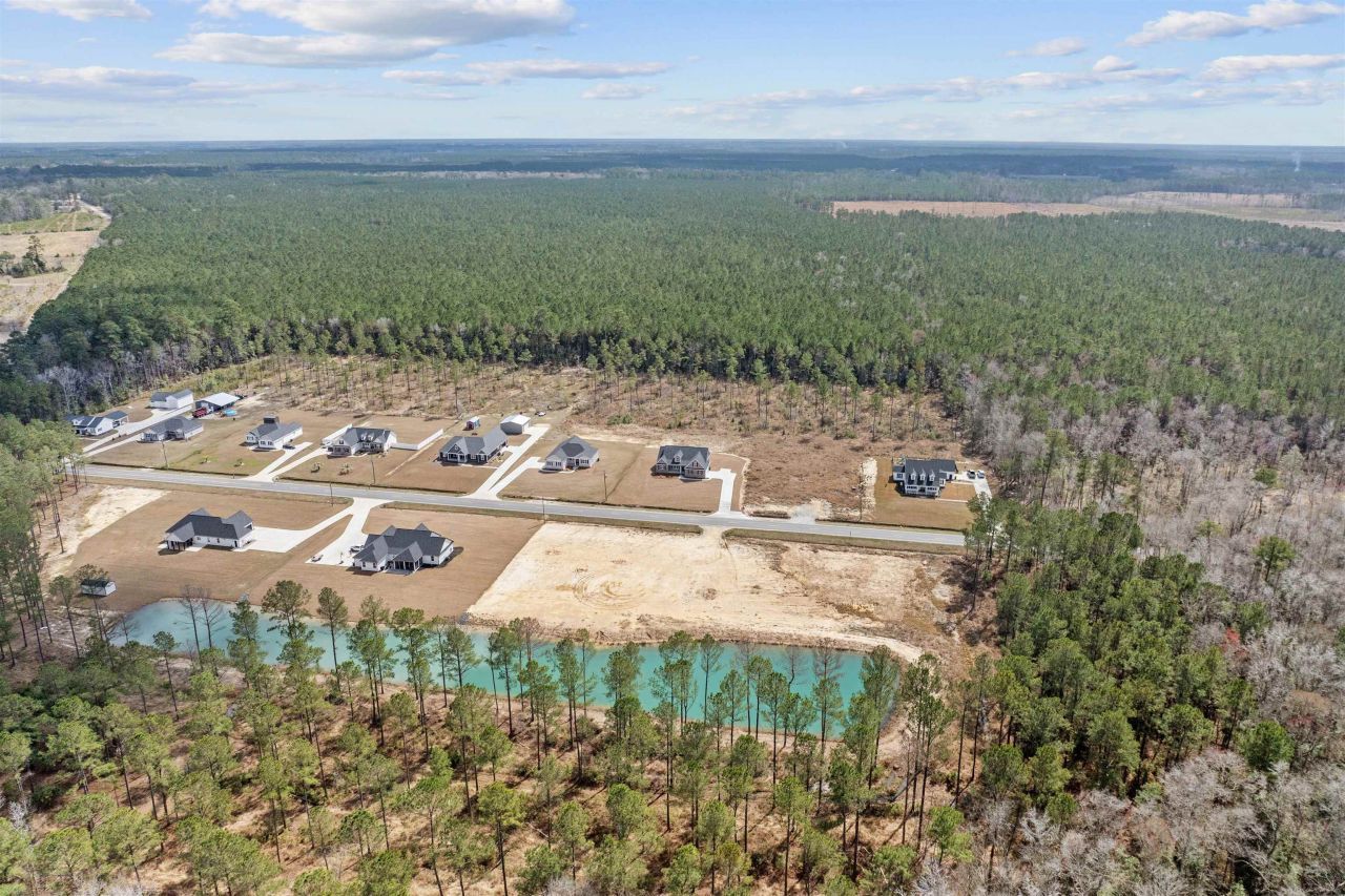 6933 Pauley Swamp Rd. Photo 6