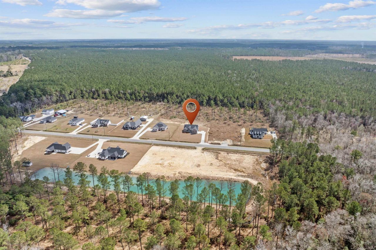 6933 Pauley Swamp Rd. Photo 7