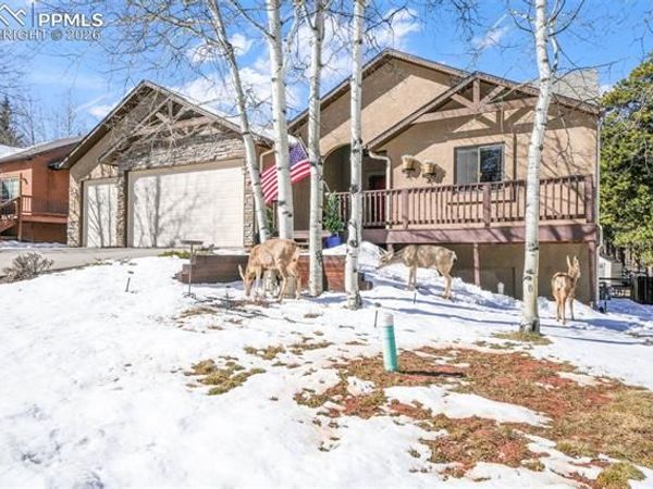 1116 Ptarmigan Drive, Woodland Park, CO 80863