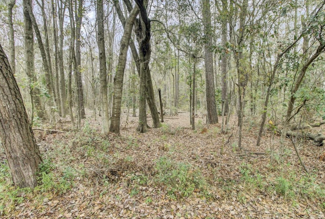 00 Embassy Drive  Photo 7