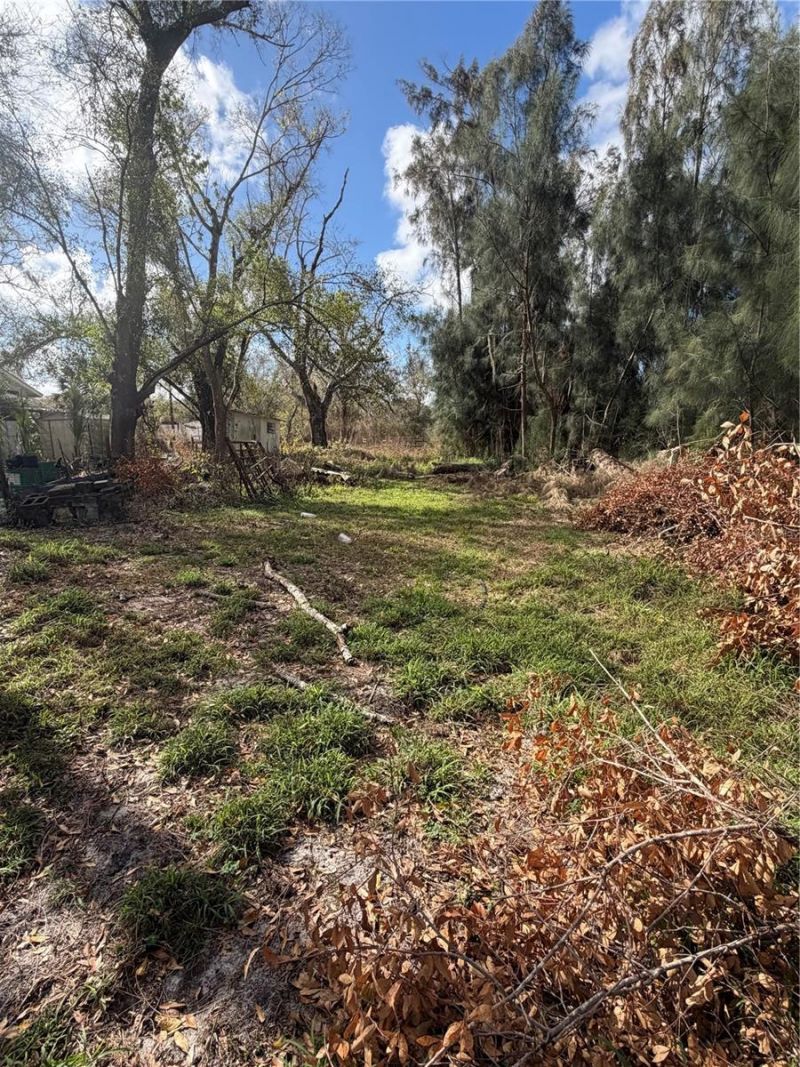 1211 NW Eucalyptus Avenue , Arcadia, FL 34266 Photo