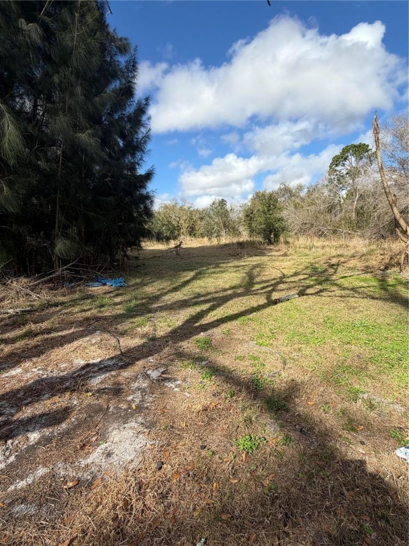 1211 NW Eucalyptus Avenue , Arcadia, FL 34266 Photo