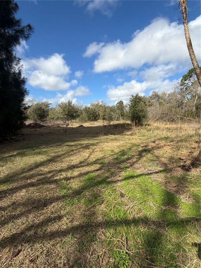 1211 NW Eucalyptus Avenue , Arcadia, FL 34266 Photo