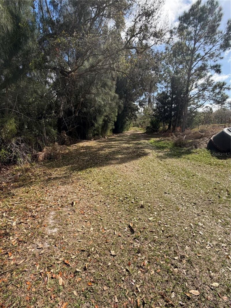 1211 NW Eucalyptus Avenue , Arcadia, FL 34266 Photo