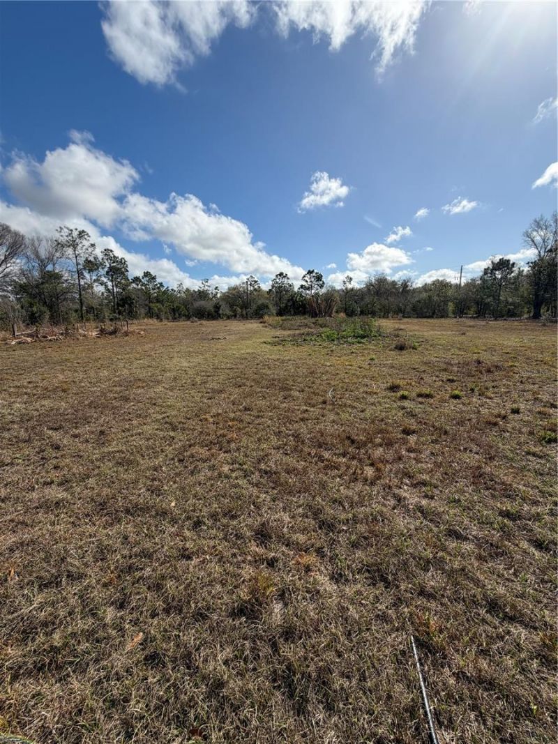 1211 NW Eucalyptus Avenue , Arcadia, FL 34266 Photo