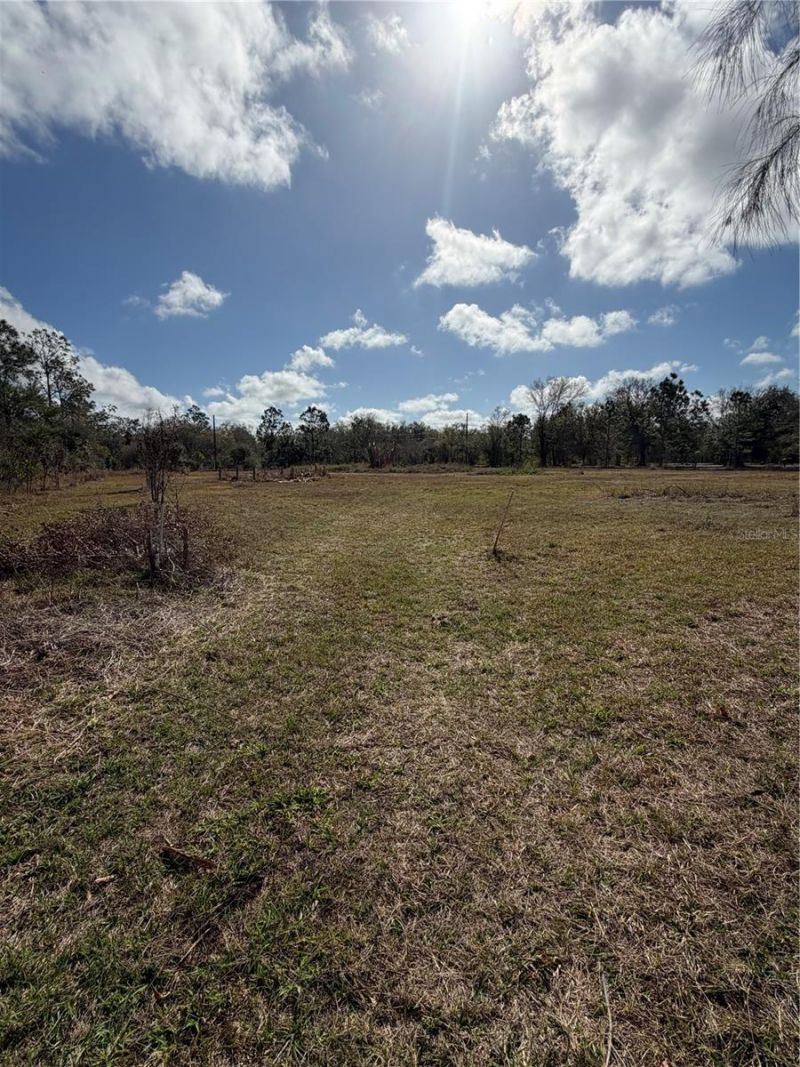 1211 NW Eucalyptus Avenue , Arcadia, FL 34266 Photo