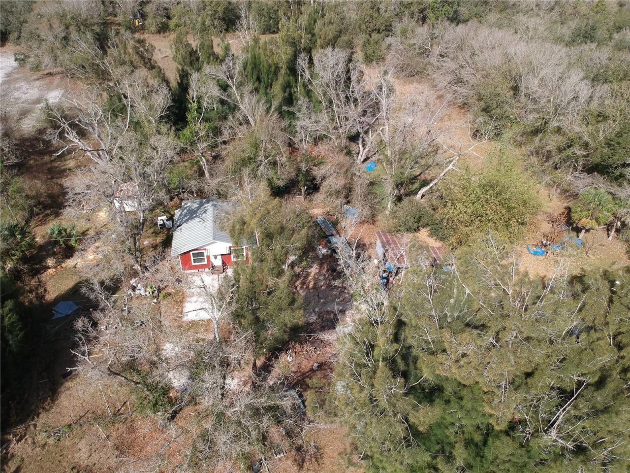 1211 NW Eucalyptus Avenue , Arcadia, FL 34266 Photo