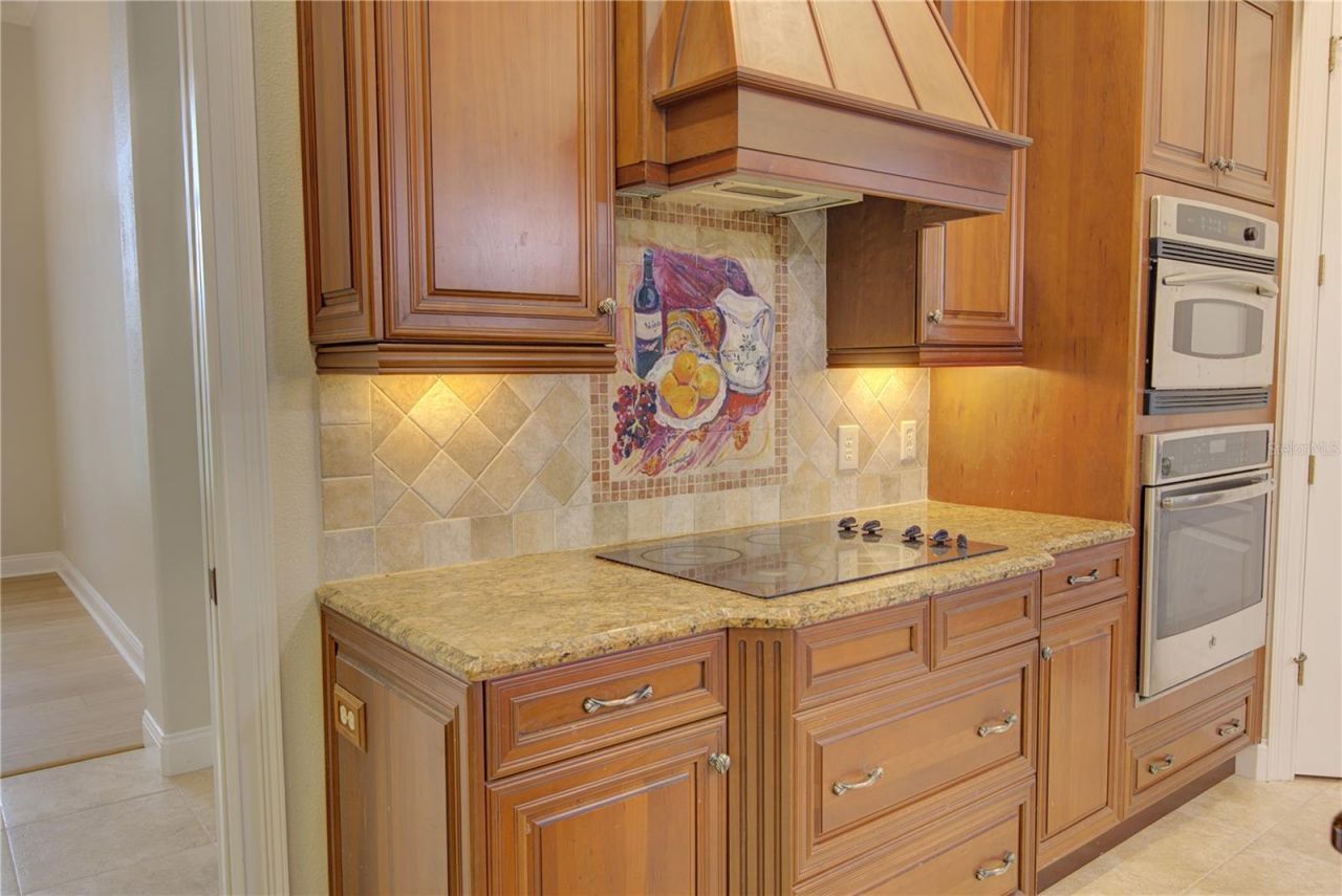 916 Mills Estate Place, Chuluota, FL 32766 Photo