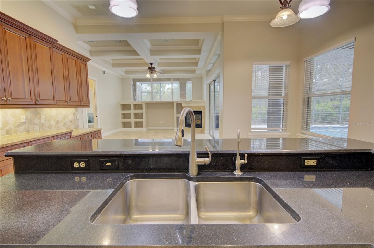 916 Mills Estate Place, Chuluota, FL 32766 Photo