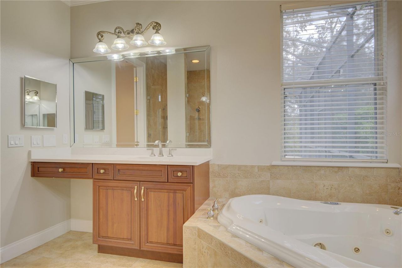 916 Mills Estate Place, Chuluota, FL 32766 Photo