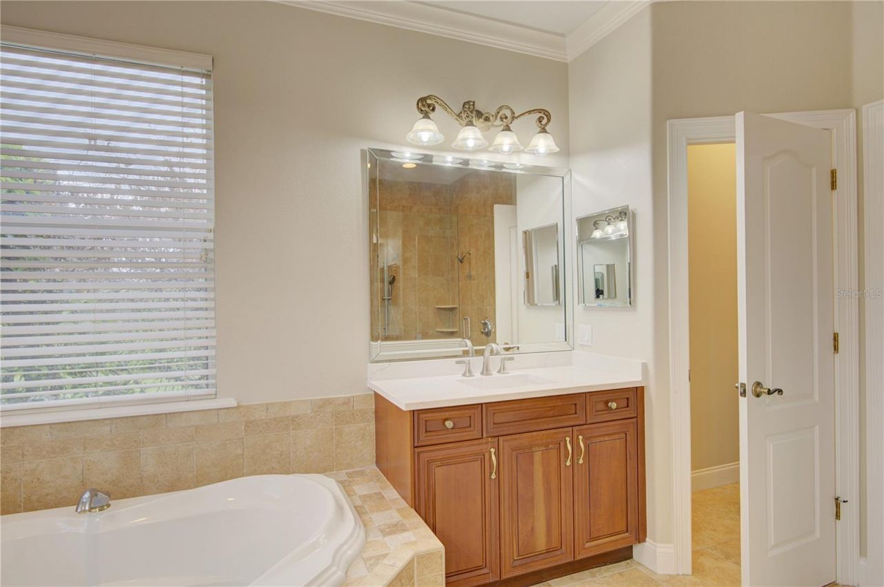 916 Mills Estate Place, Chuluota, FL 32766 Photo