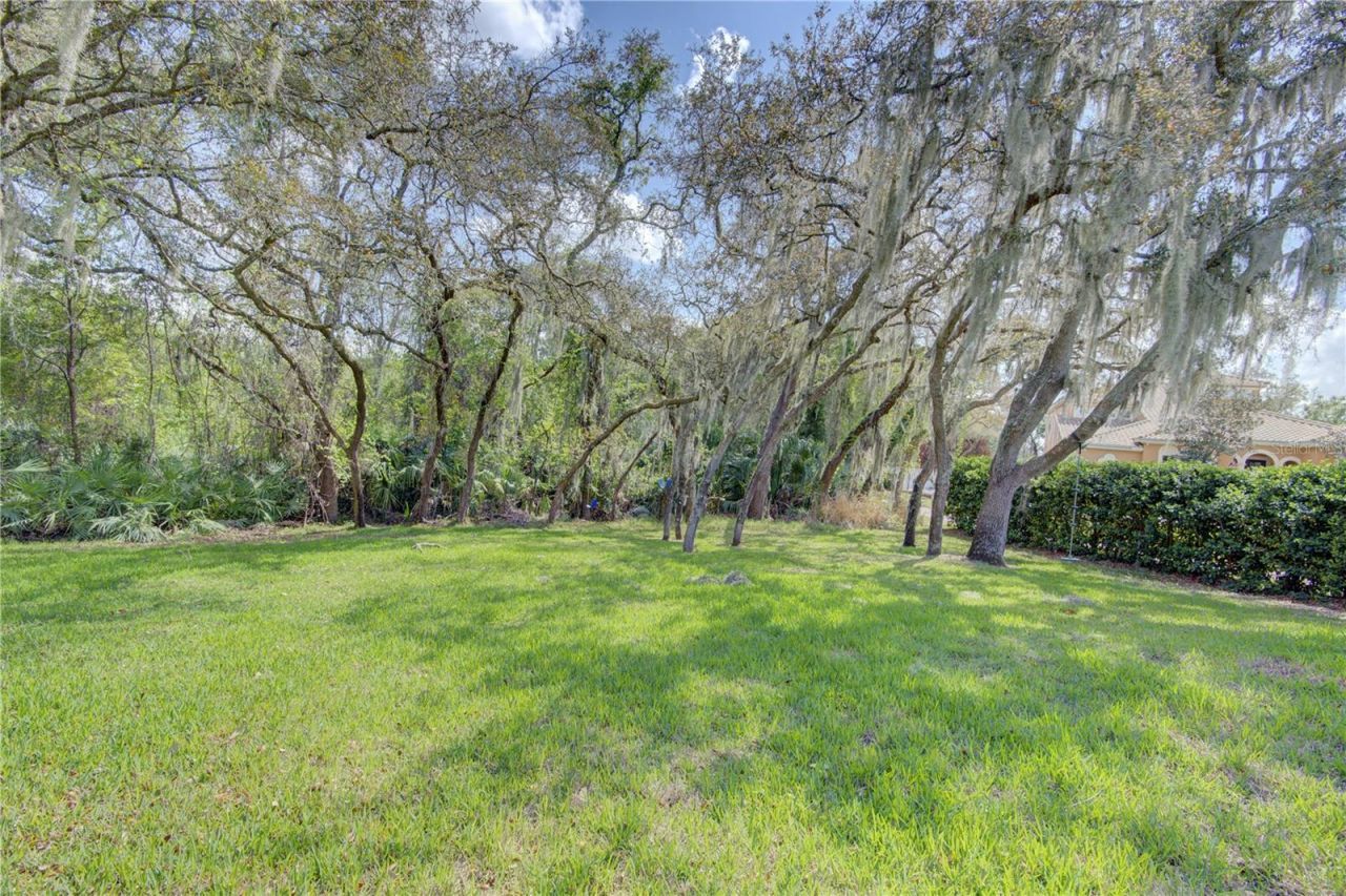 916 Mills Estate Place, Chuluota, FL 32766 Photo