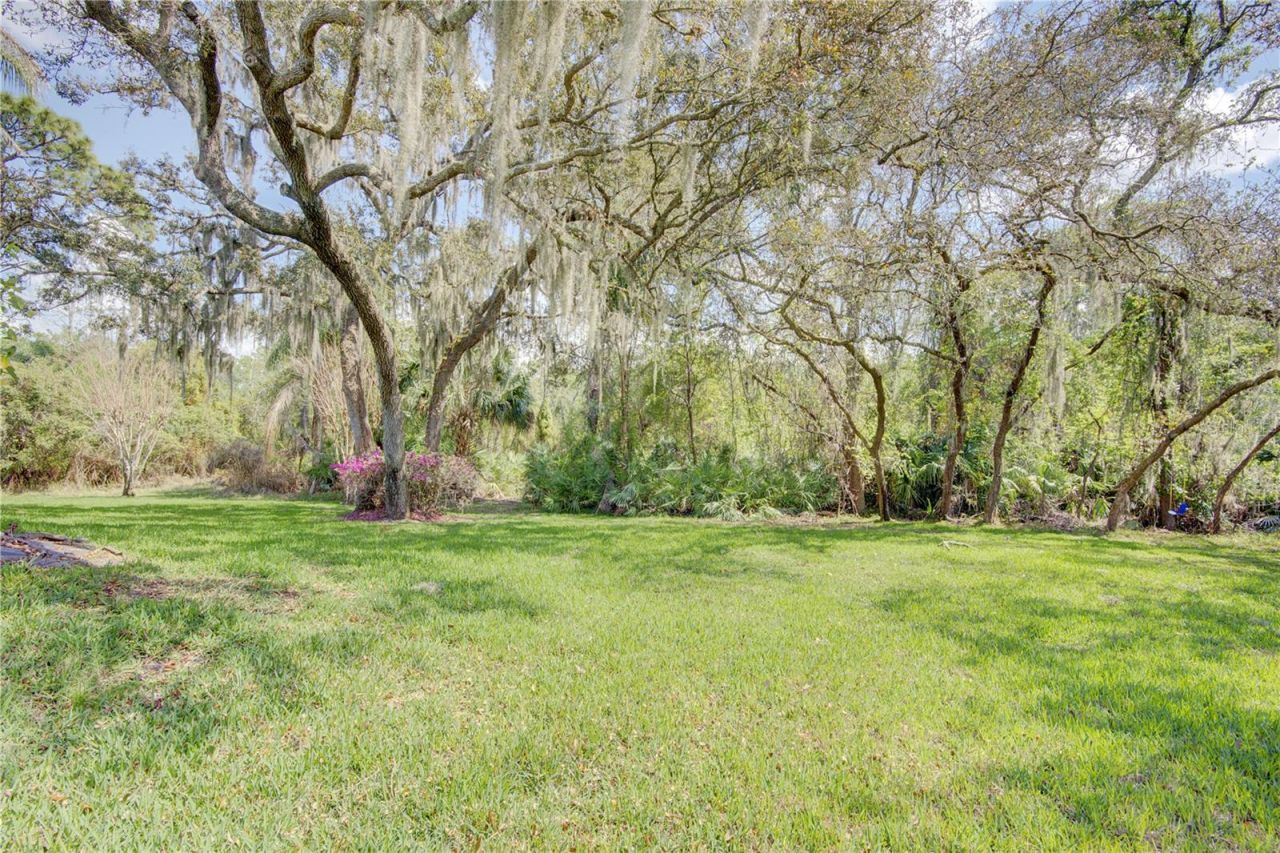 916 Mills Estate Place, Chuluota, FL 32766 Photo