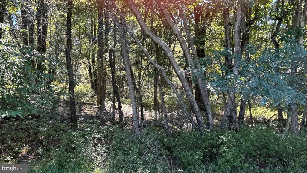 Lot 45 Elk Drive , Blakeslee, PA 18610 Main Photo